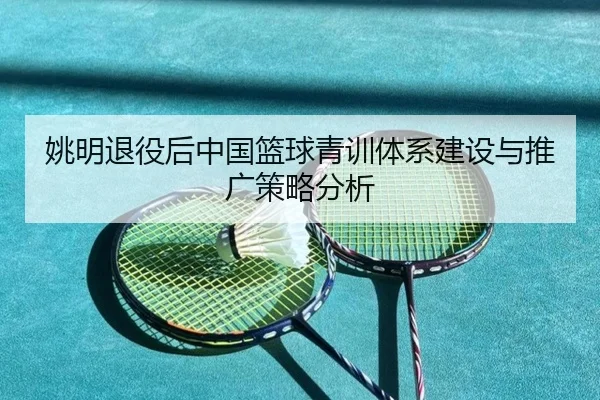 姚明退役后中国篮球青训体系建设与推广策略分析